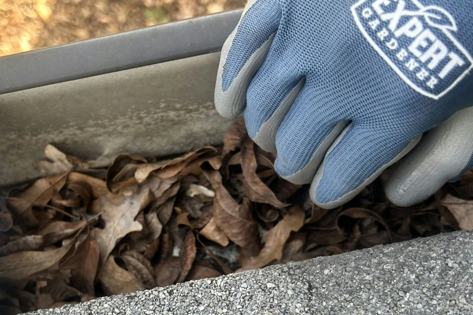 Gutter Cleaning Takoma Park