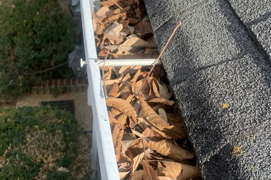 Gutter Cleaning Takoma Park