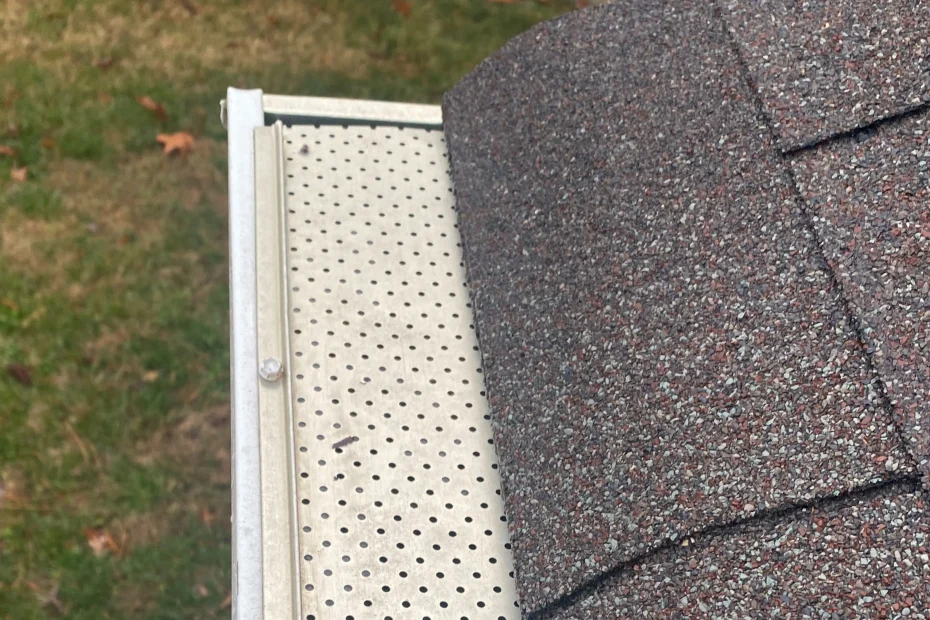 Gutter Cleaning Takoma Park