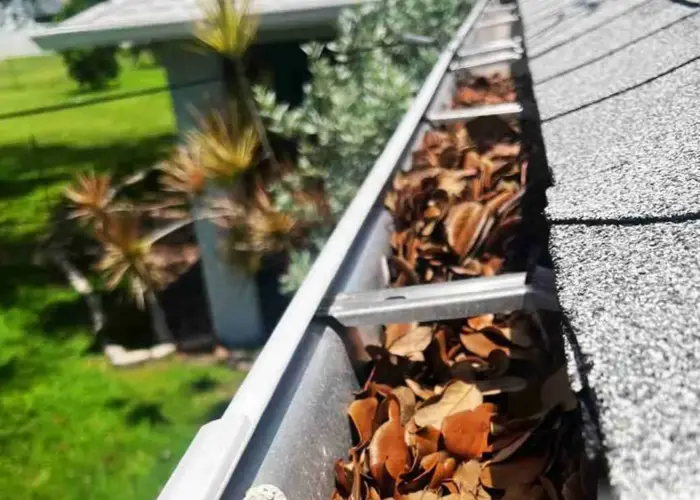 Gutter Cleaning Takoma Park home page